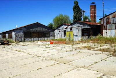 Teren industrial de 4.659 mp optional 1.000 mp Su... - 11