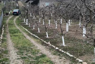 Casă cu Teren 2800 Mp în Boțești - 1