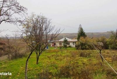 Casă cu 4 camere cu Teren 5300 Mp în Oancea - 2