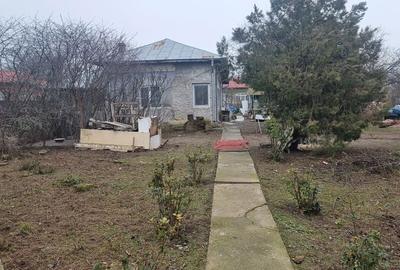 Casă cu 5 camere cu Teren 2800 Mp în Nuci - 1