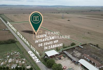 Teren intravilan de 25400 mp, în Zăbrani - 3