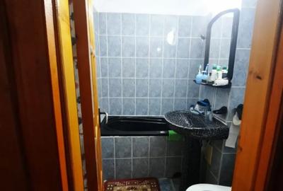 Apartament cu 4 camere decomandat în George Enescu - 11