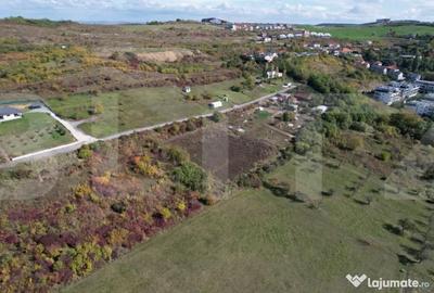 Teren de 6896 mp, în Borhanci - 13