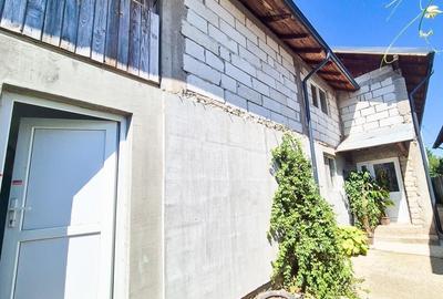 Casa Borlesti Merisani Arges - 1