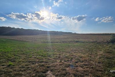 1 ha teren zona Curtesti - Bucovina 1 ha teren zona Curtesti - Bucovina - 2