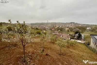 Casă cu 5 camere cu Teren 1988 Mp în Oncea - 18