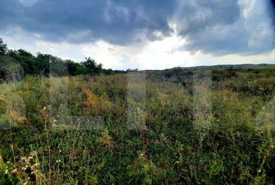 Teren de 5800 mp, în Pădureni (Chinteni) - 6