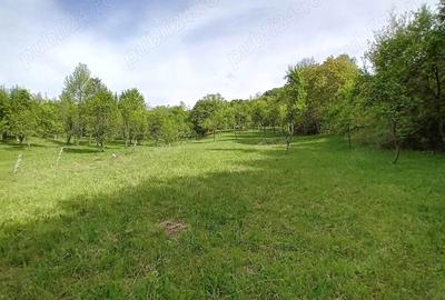 Teren de vanzare in Bradulet Arges - 3