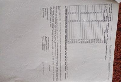 Casă cu 2 camere cu Teren 1000 Mp în Nuci - 6