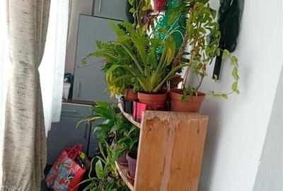Apartament cu 3 camere semidecomandat, mobilat în Spitalul Județean - 5