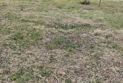 Casă cu 3 camere în Corni - 2