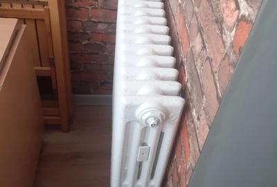 Garsoniera confort 1 la strada Calea Nationala-zona Electro Alfa - 7