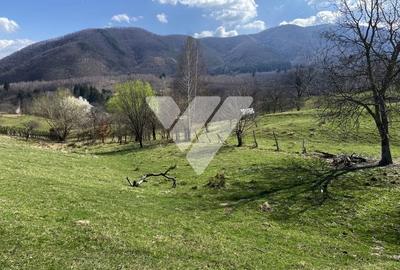 Teren agricol extravilan de 6630 mp, în Cisnădioara