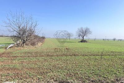 Spațiu comercial, în Central - 2