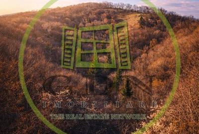 Teren de 20000 mp, în Schei - 4