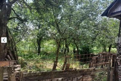 Casă cu 2 camere cu Teren 1300 Mp în Rediu