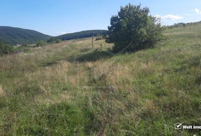 Teren de vanzare | Autorizatie de constructie casa pasiva | Salicea, jud Cluj - 1