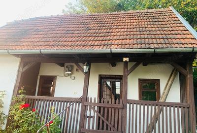 Casă cu 2 camere cu Teren 1500 Mp în Brazii - 3