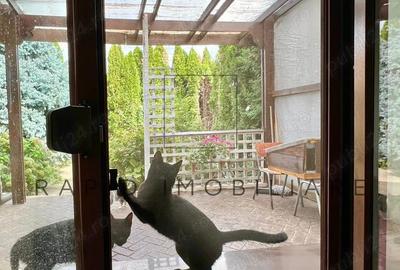 Re?edin?a Spa?ioasa de Vanzare Complex AltStil -Aprox. 1000 mp Teren - 1