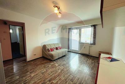 Apartament cu 2 camere semidecomandat, mobilat în Boul Roșu - 2