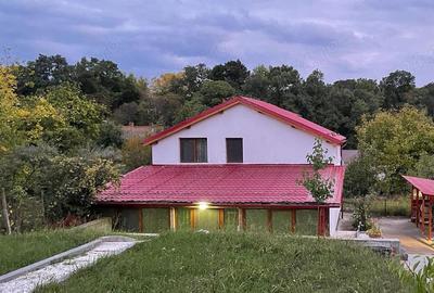 Casa de vanzare in Buzias, zona parc - 1