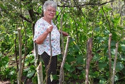 Casa situata  la poalele dealurilor subcarpatice in zona pomicola. - 14