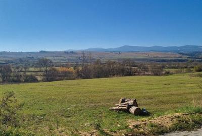 Teren de 3000 mp, în Central - 3