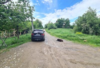 Teren intravilan de 4355 mp, în Câmpina - 8
