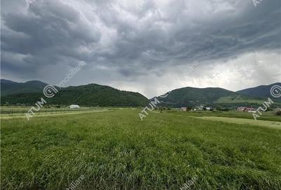 Teren agricol intravilan de 3477 mp, în Boița