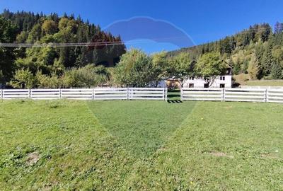 Casa in Vatra Dornei, zona Argestru, cu 11.541m.p. TEREN INTRAVILAN - 9