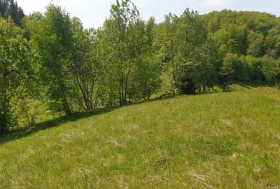 Teren de 1000 mp, în Dâmbovicioara - 8