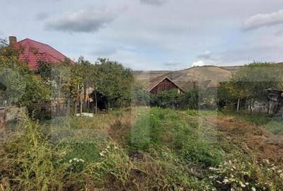 Casa de vanzare, 3 camere, 4663 mp teren, CF, Sat Barai - 9