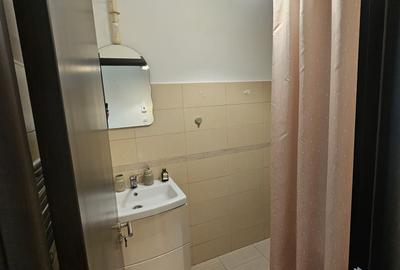 Apartament cu 2 camere semidecomandat în Alexandru cel Bun - 9