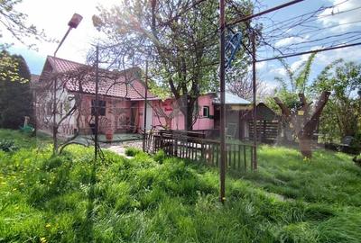 Casa cu 4 camere, 140 mp, acces auto, 902 mp teren, zona Bogdanestilor - 11