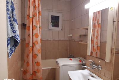 Garsonieră decomandată în Nicolina - 3