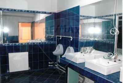 Spațiu comercial, de 500 mp, în Teiul Doamnei - 6