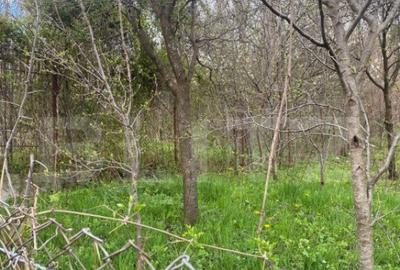 Teren 784 mp, Nistoresti, jud Prahova - 10