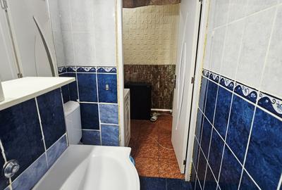 Apartament 2 camere, confort 2, parter – zona Malu Roșu - 13