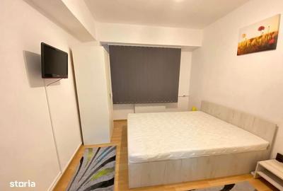 Apartament cu 2 camere decomandat în Gorjului - 8