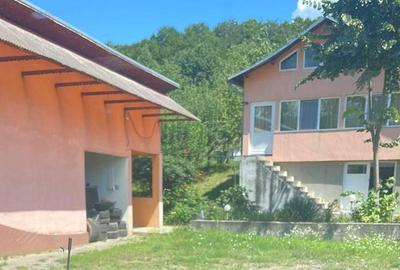 Casă cu 2 camere în Făget - 2