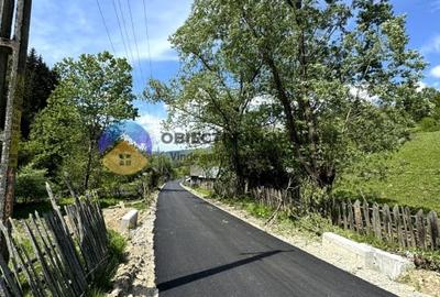 Teren 11557 mp comuna Ceahlau - 13