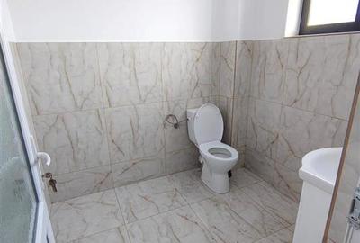 Spațiu comercial, de 240 mp, în Lunca Cetățuii - 11