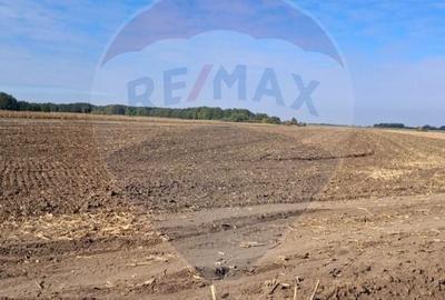 Teren agricol extravilan de 21177 mp, în Santăul Mic - 3