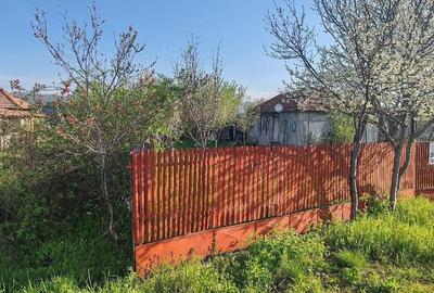 Casă cu Teren 5000 Mp în Unguriu - 4