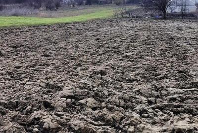 Teren agricol extravilan de 5000 mp, în Vărăști - 6