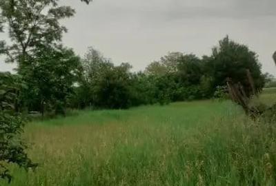 Teren de 1100 mp, în Roșia de Secaș - 10
