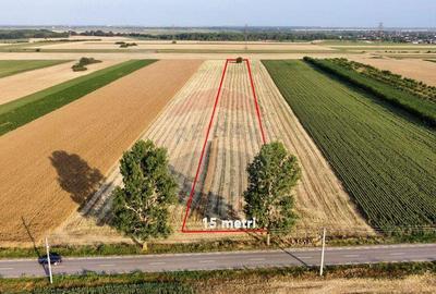 Teren Vanatori / Strada DJ204E Spre Mircesti - 7