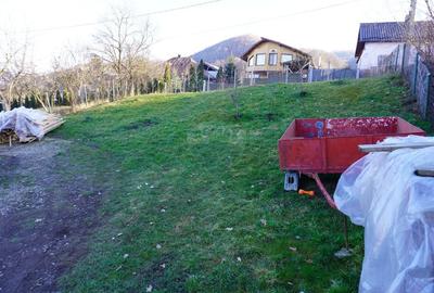 Casă cu 5 camere cu Teren 1500 Mp în Central - 11