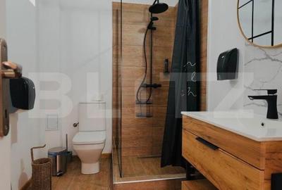 Spațiu comercial, de 150 mp, în Râmeț - 10