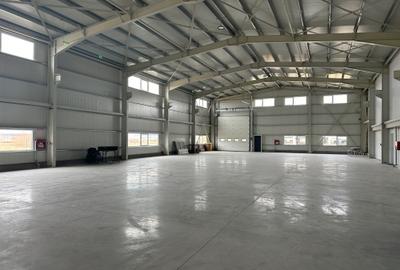 Hala noua 1.300 mp Zona Industriala Vest Sibiu - 2